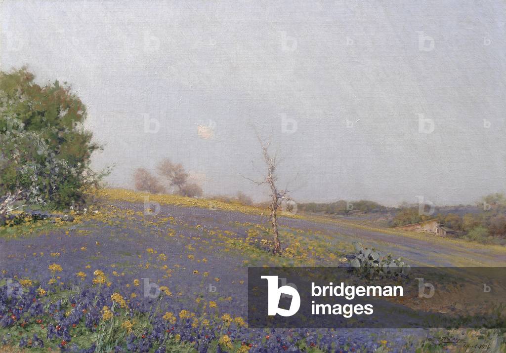 Sloping Hills, 1926 (oil on canvas)
