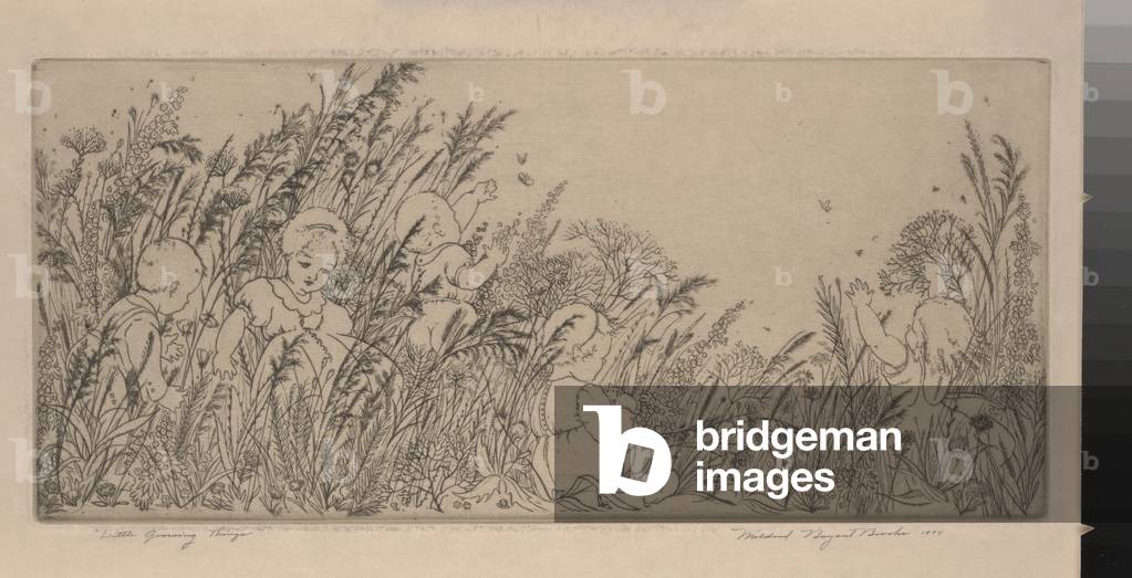 Little Growing Things, 1934 (etching)