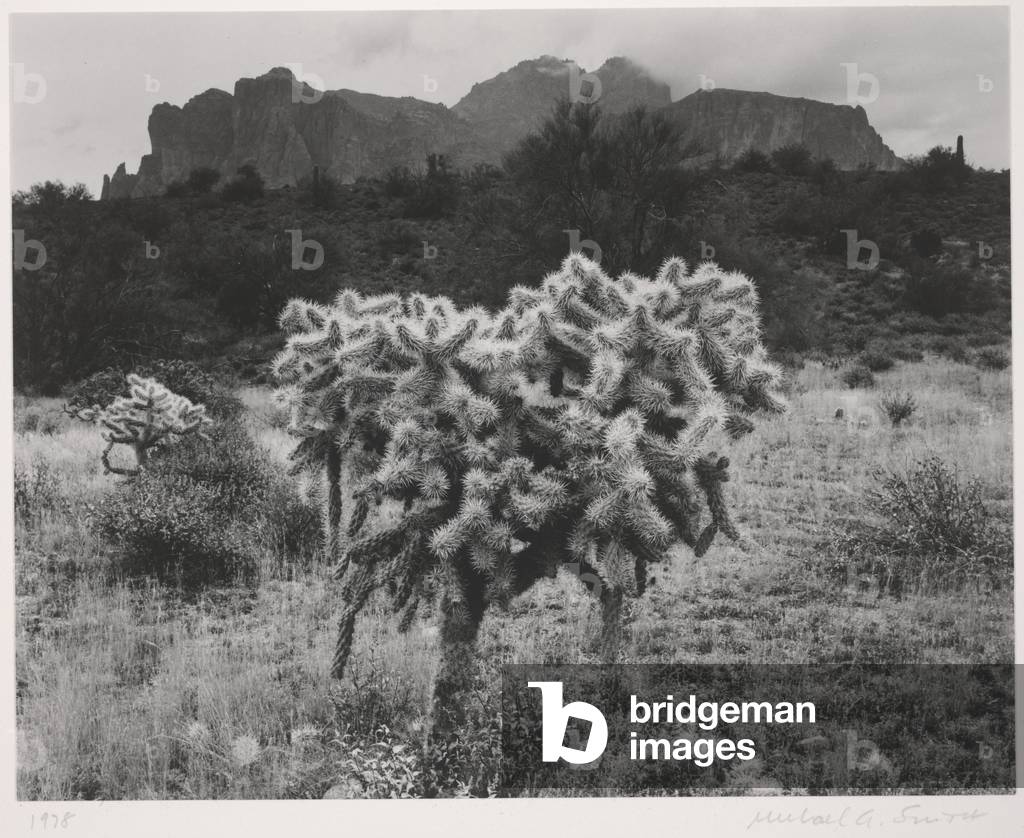 Superstition Mountains, Arizona, 1978 (gelatin silver print)