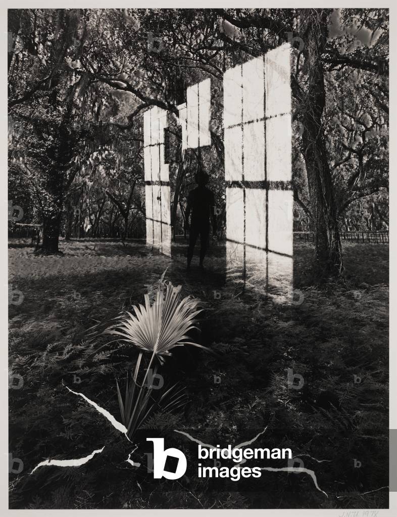 Untitled, 1978 (gelatin silver print with selenium & sepia toners)