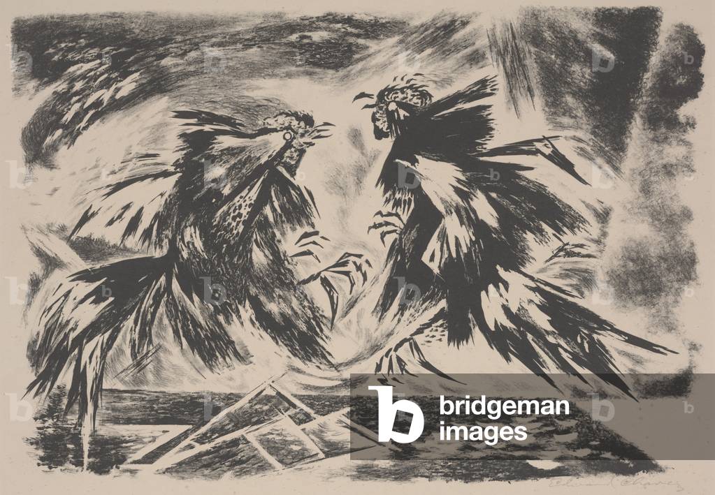Fighting Cocks (litho)