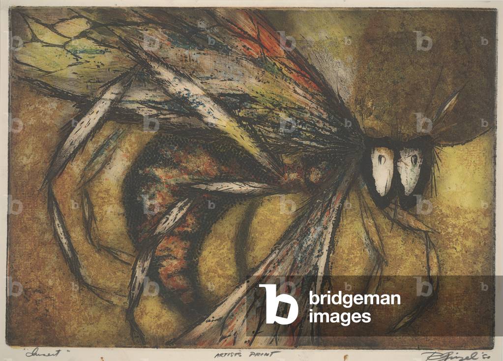 Insect, 1950 (colour intaglio)