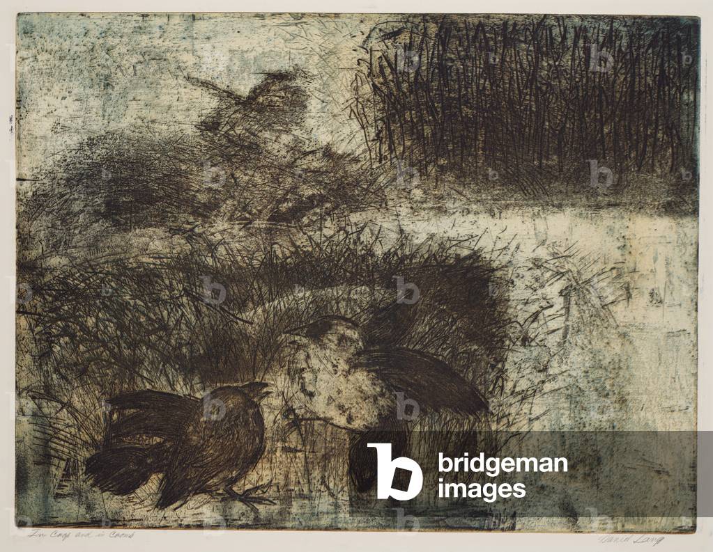 In Coop and in Coomb (colour etching)