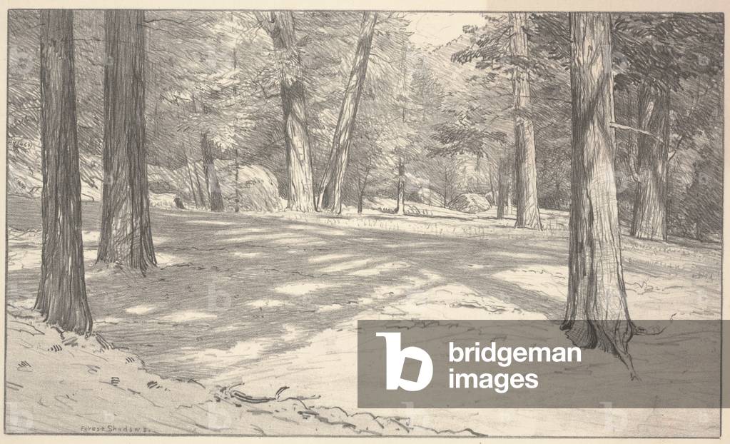 Forest Shadows, 1923 (litho)