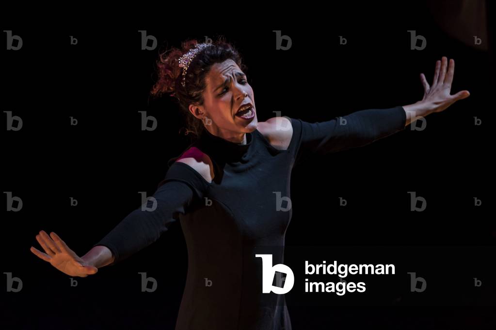 Compania Dei Furbi performs The Magic Flute (photo)