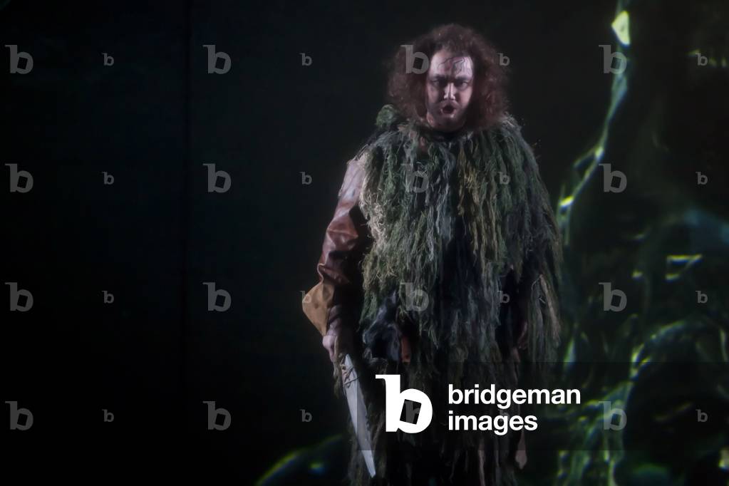 Dmitry Ulyanov as Hunding (photo)