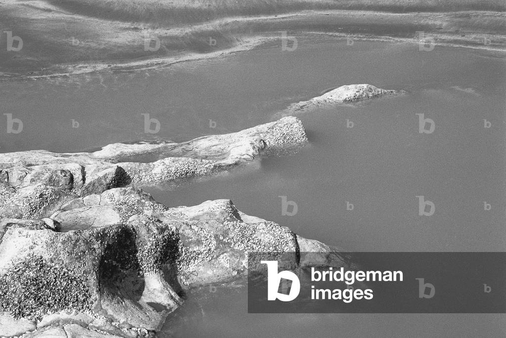 Rock in sea water II (b/w photo)