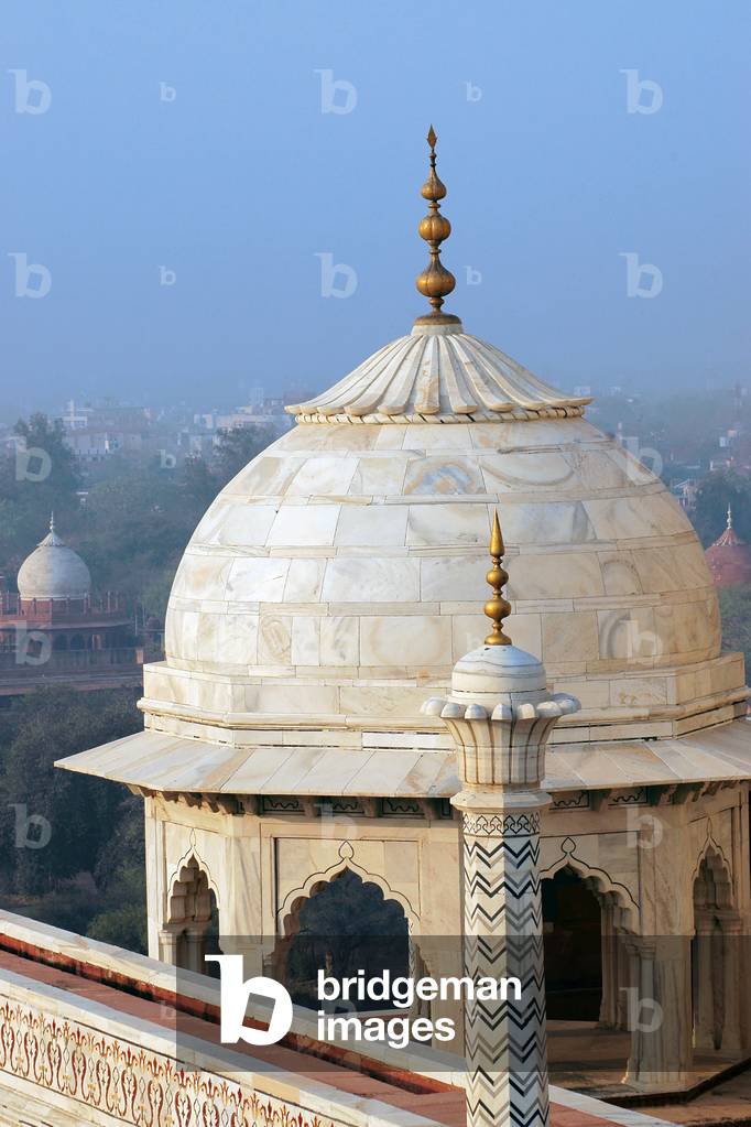 The Taj Mahal, Agra, India (photo)