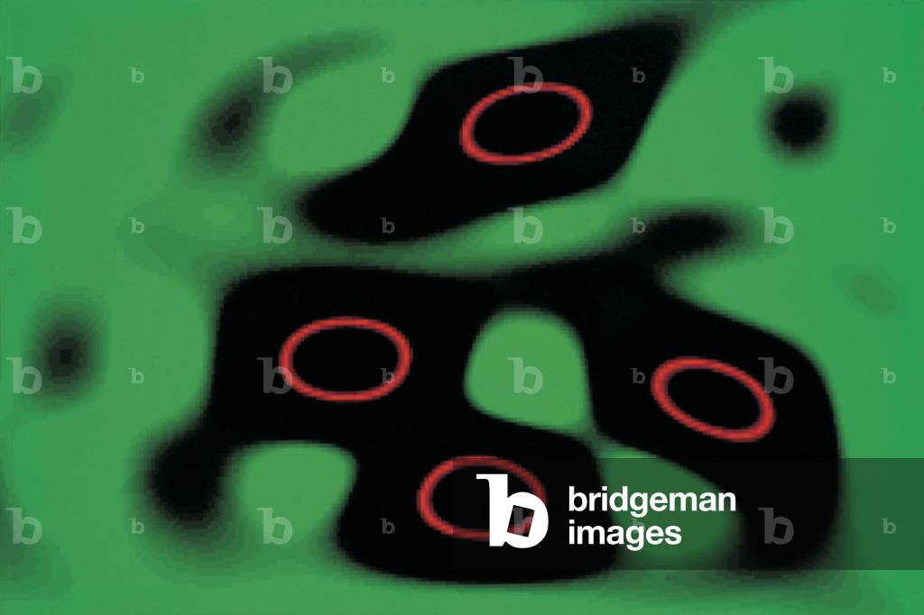 Immagini cosmiche processate al computer immagini di galassie (foto)
