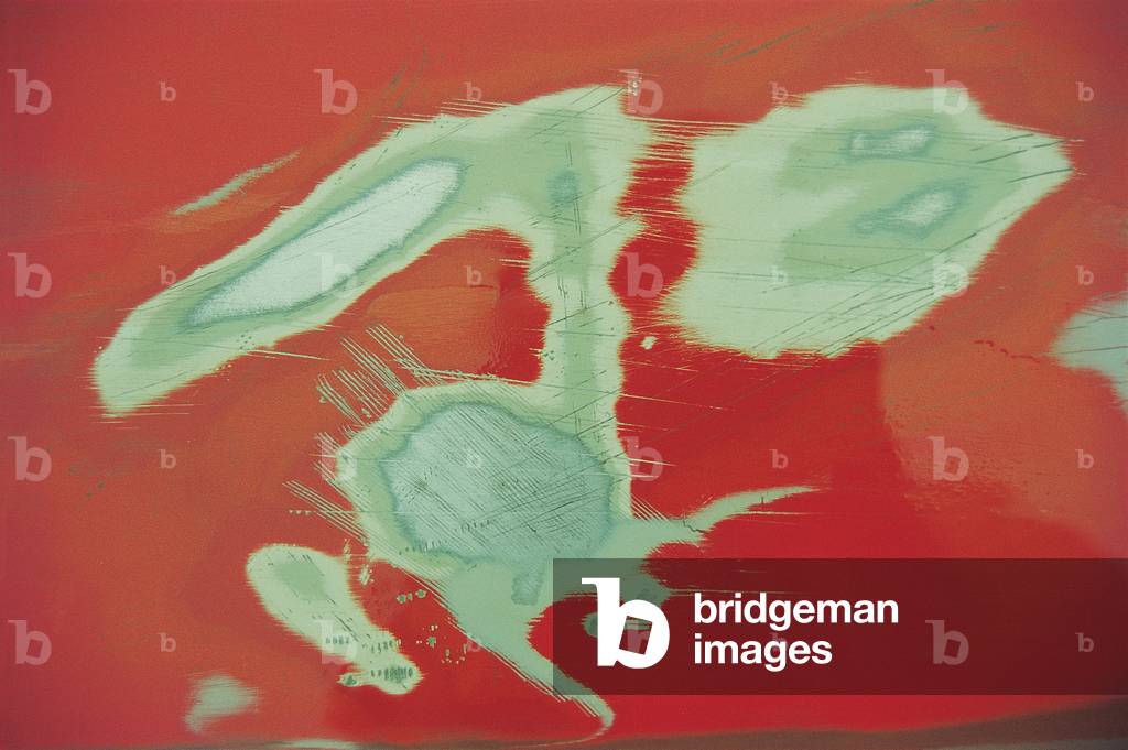 Paint on metal (photo)
