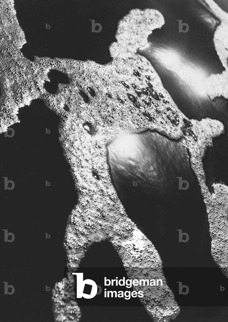 Foam on sea water, Porbandar (b/w photo)