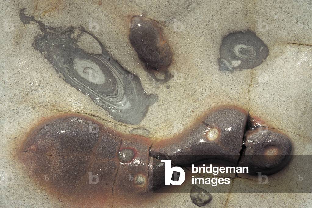 Rock sculpture point lobos (photo)