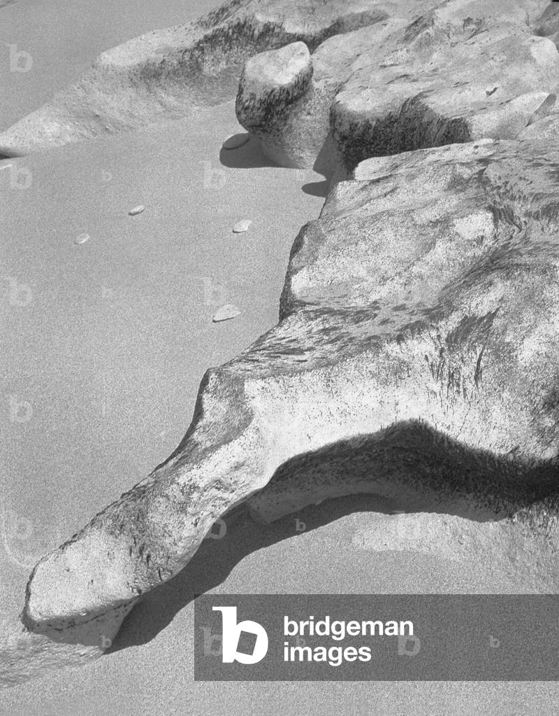 Immagine di Fotografia "Roccia sulla sabbia", b/w