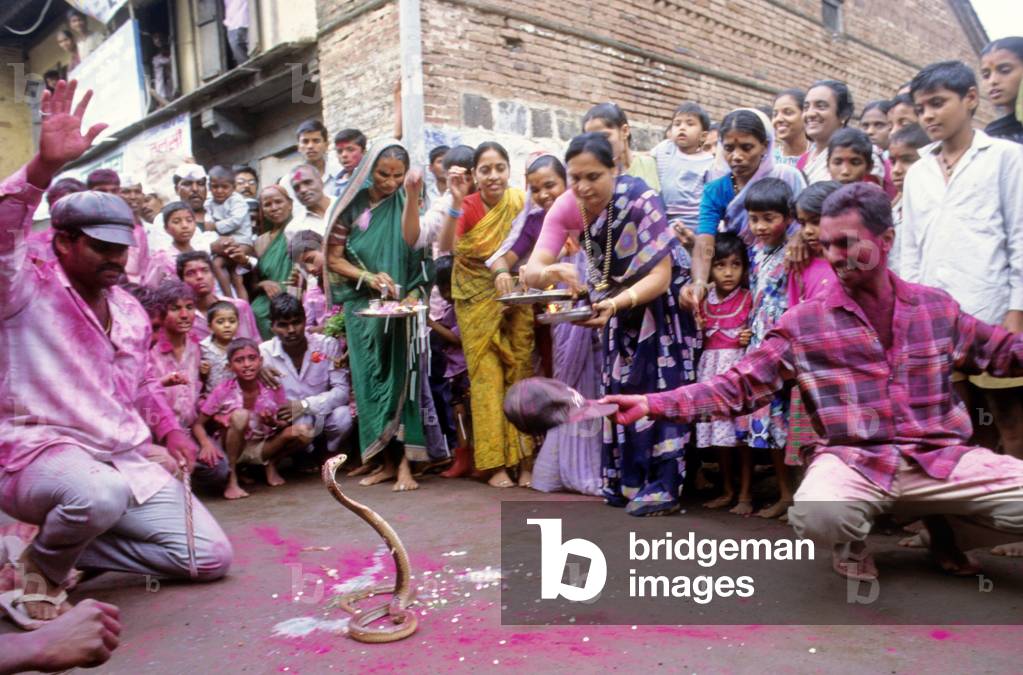 Nag Panchami snake festival, India (photo)