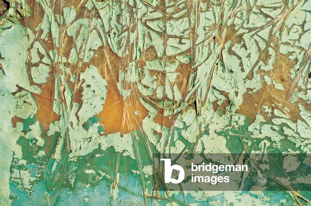 Immagine di Fotografia "Vernice e fibre su legno (foto)"