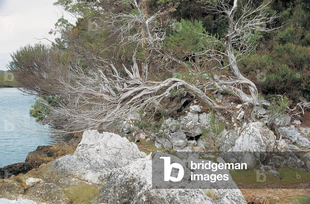 Port Davey National Park (photo)