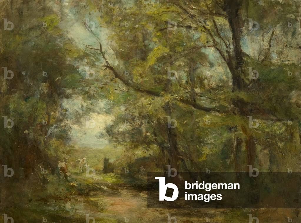 Landscape (oil on canvas)