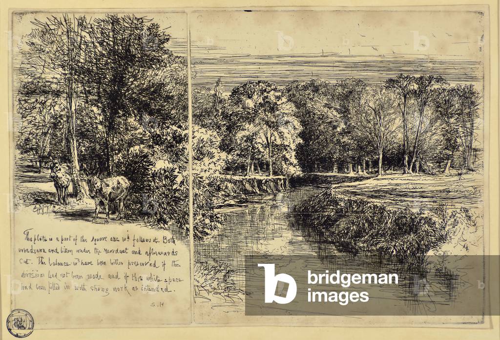 The Two Asses and Dundrum River, 19th century (etching)