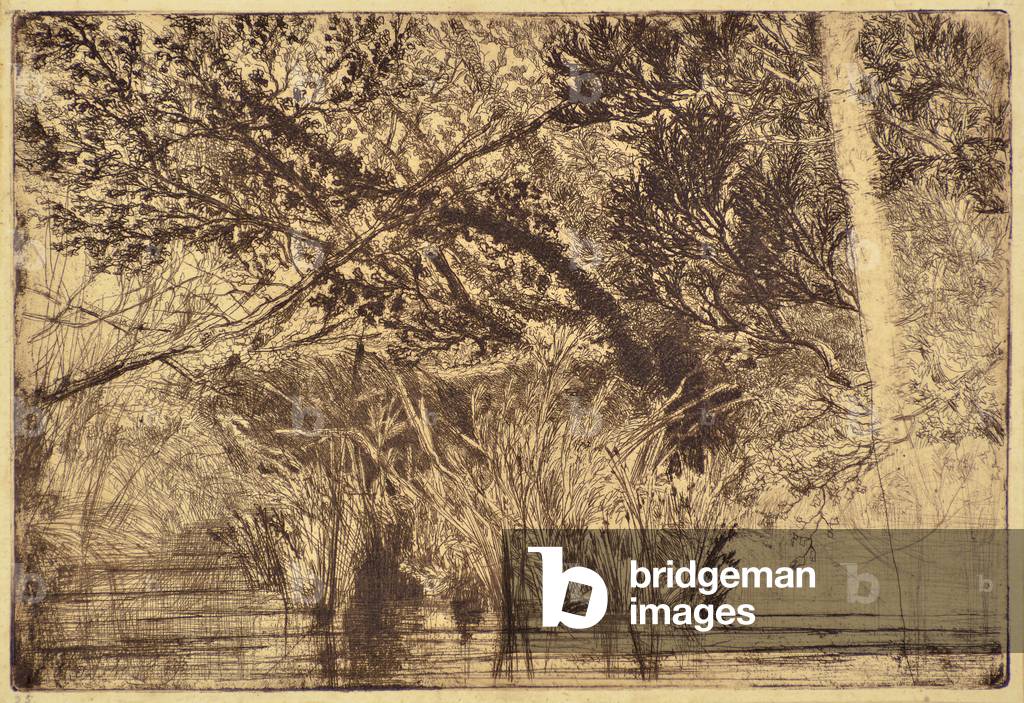 The Mouth of a Brook No.1, 1859 (etching)