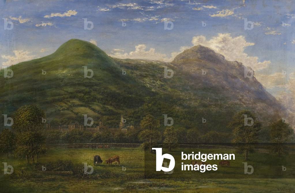 Falkland and the Lomonds, 19th century (oil on canvas)