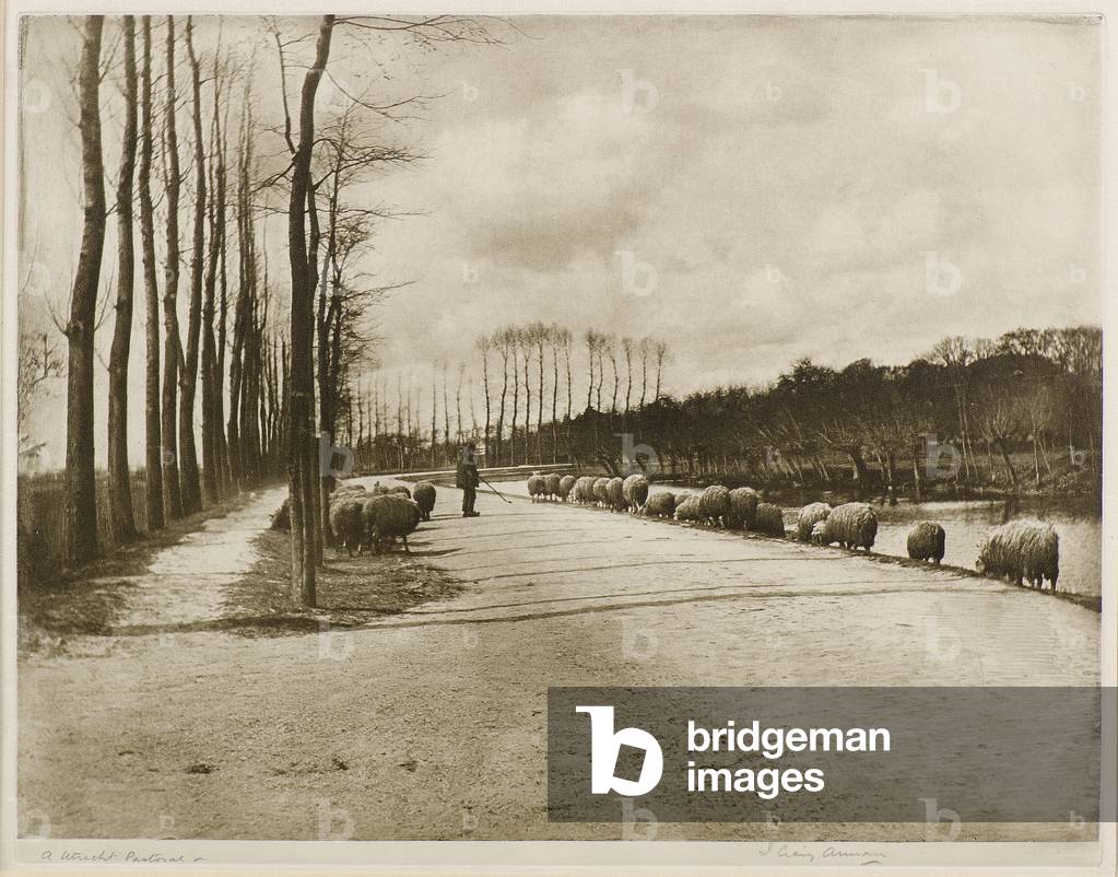 A Utrecht Pastoral (photogravure)
