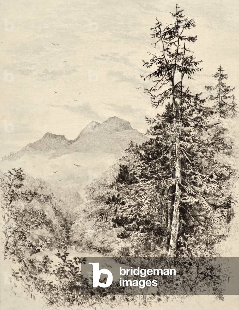 The Tweed: The Eildon Hills, c.1880 (etching)