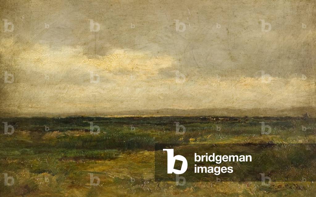 Landscape (oil on canvas)