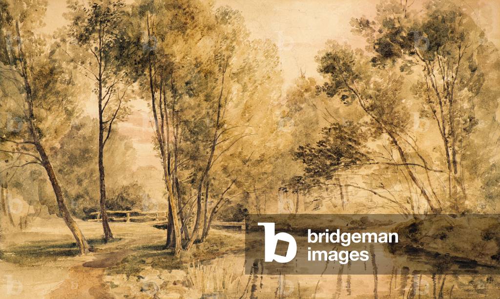 Study of Trees, 19th century (w/c)
