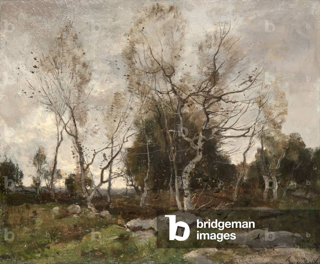 Landscape (oil on canvas)