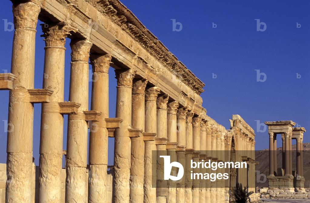 Central Avenue and Tetrapylon, Palmyra (Tadmor), Syria (photo)