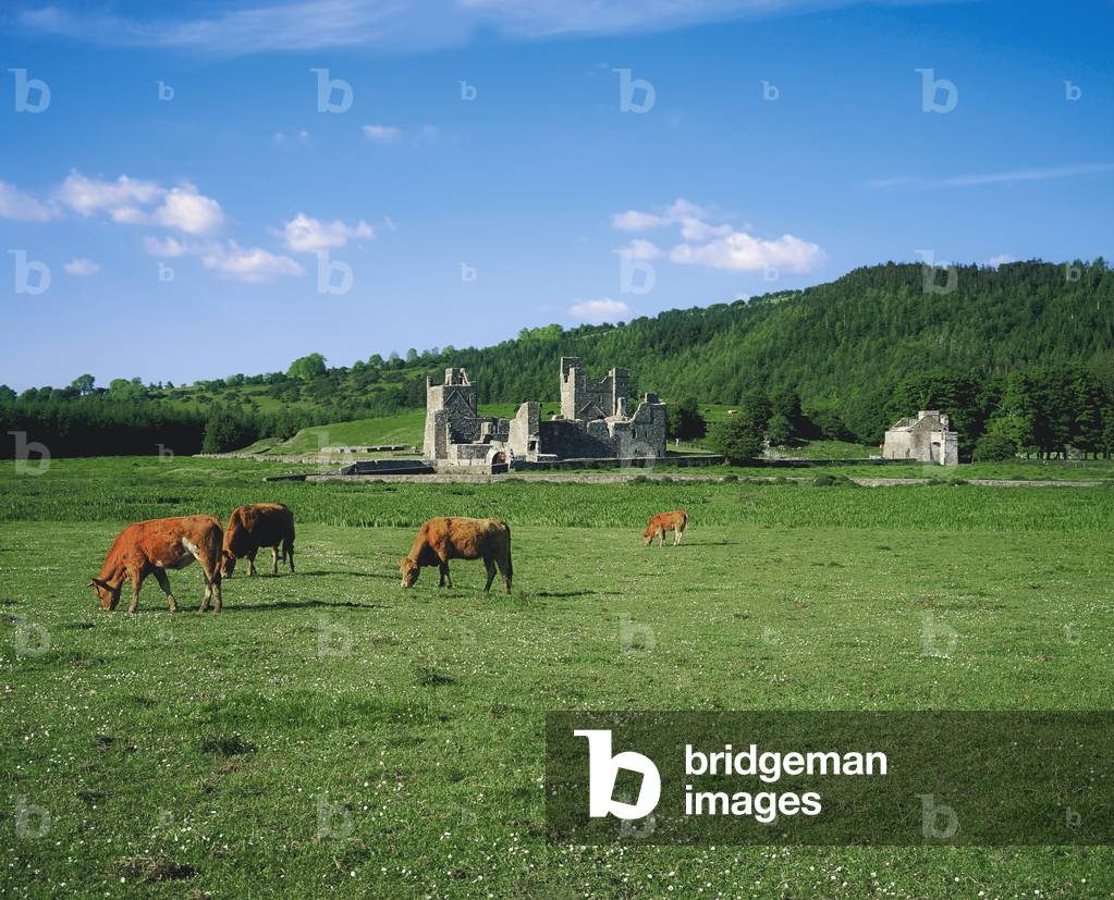 Fore Abbey, Co Westmeath, Ireland (photo)