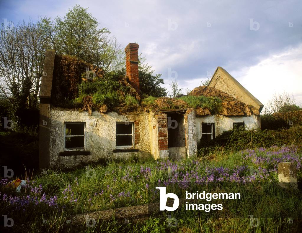 Derelict Cottage, Co Meath, Ireland (photo)