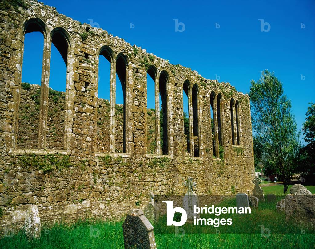 Ancient Abbeys, Dominican Friary, Lorrha Co Tipperary (photo)