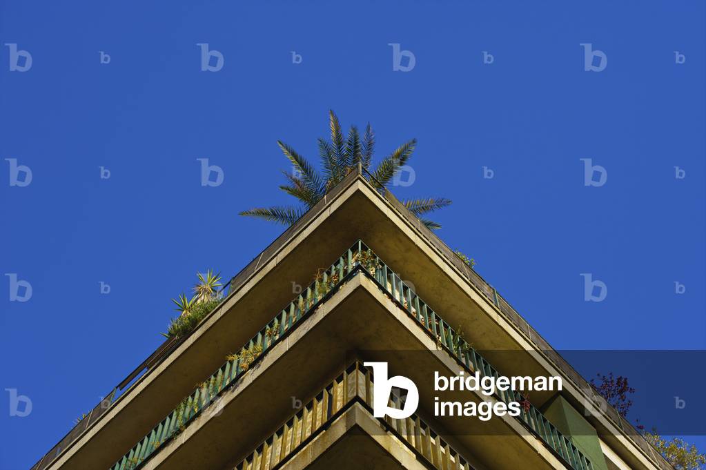 A roofline and corner of a building against a blue sky with a palm tree, Barcelona, Spain (photo)