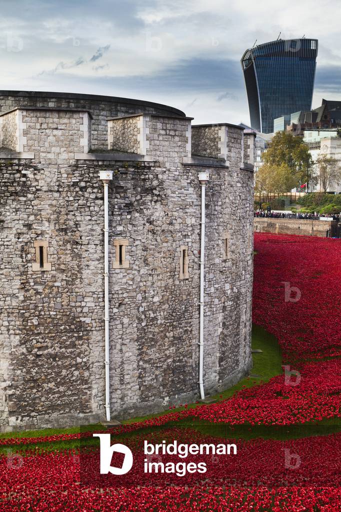 Ceramic poppies comemorating the fallen UK and Commonwealth soldiers of the First World War, 2014, Tower of London, London, England, UK  (photo)