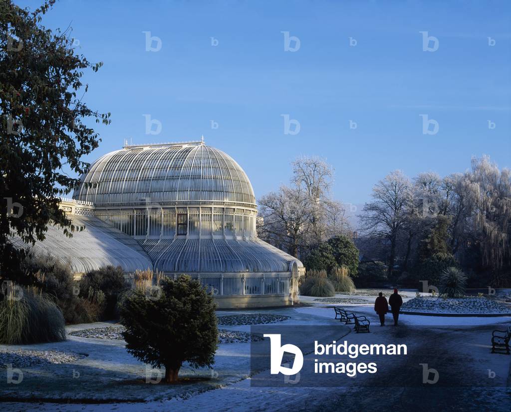 Belfast, Botanic Gardens In The Snow 2015 (photo)
