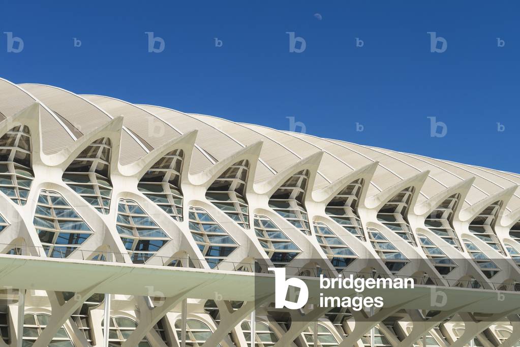 Moon Rising Above El Museu De Les Ciencies Principe Felipe in Ciudad De Las Artes Y Las Ciencias (City of Arts and Sciences), Valencia, Spain (photo)