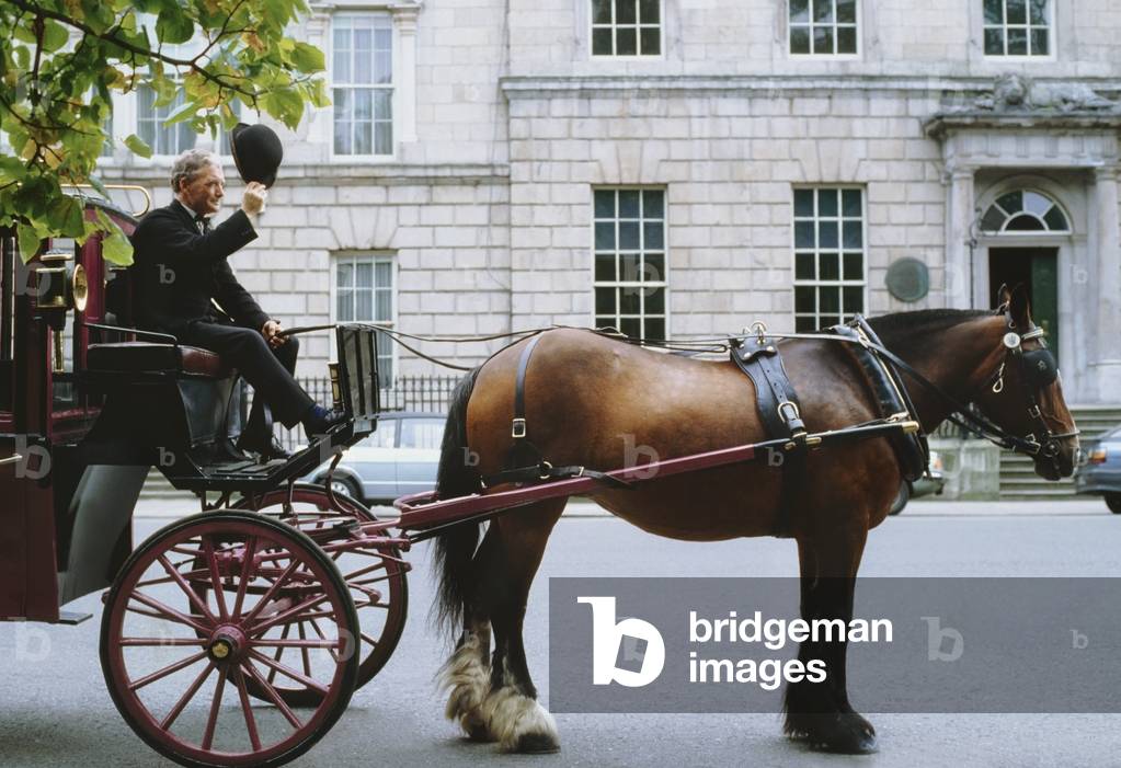 St Stephen's Green, Dublin, Co Dublin, Ireland; Man Steering A Carriage (photo)