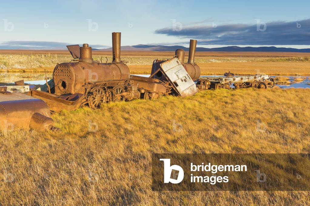 The Last Train to Nowhere derelict steam engines on the tundra near Nome, Seward Peninsula, Arctic Alaska (photo)