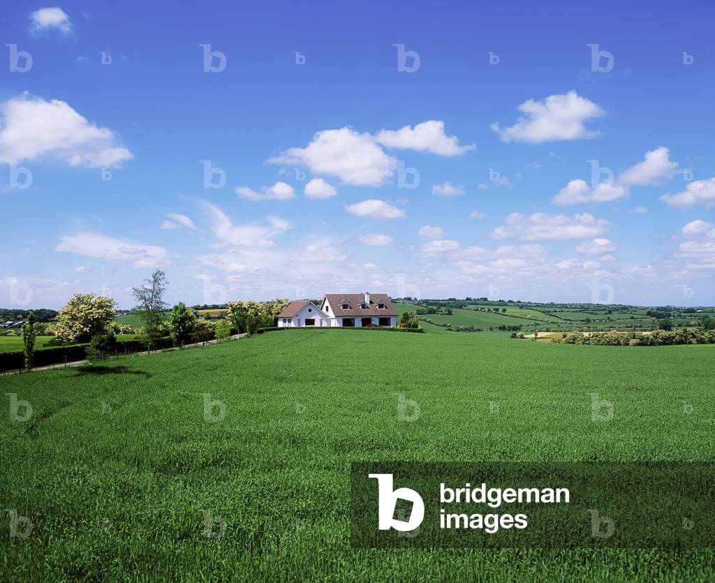 Dunlavin, Co Wicklow, Ireland, Farmscapes (photo)