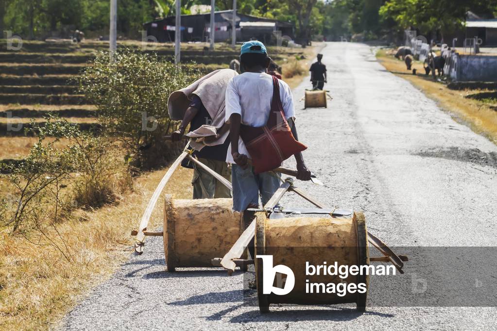 Farmers carrying their tools on a road, near Vemasse, Baucau, East Timor (photo)