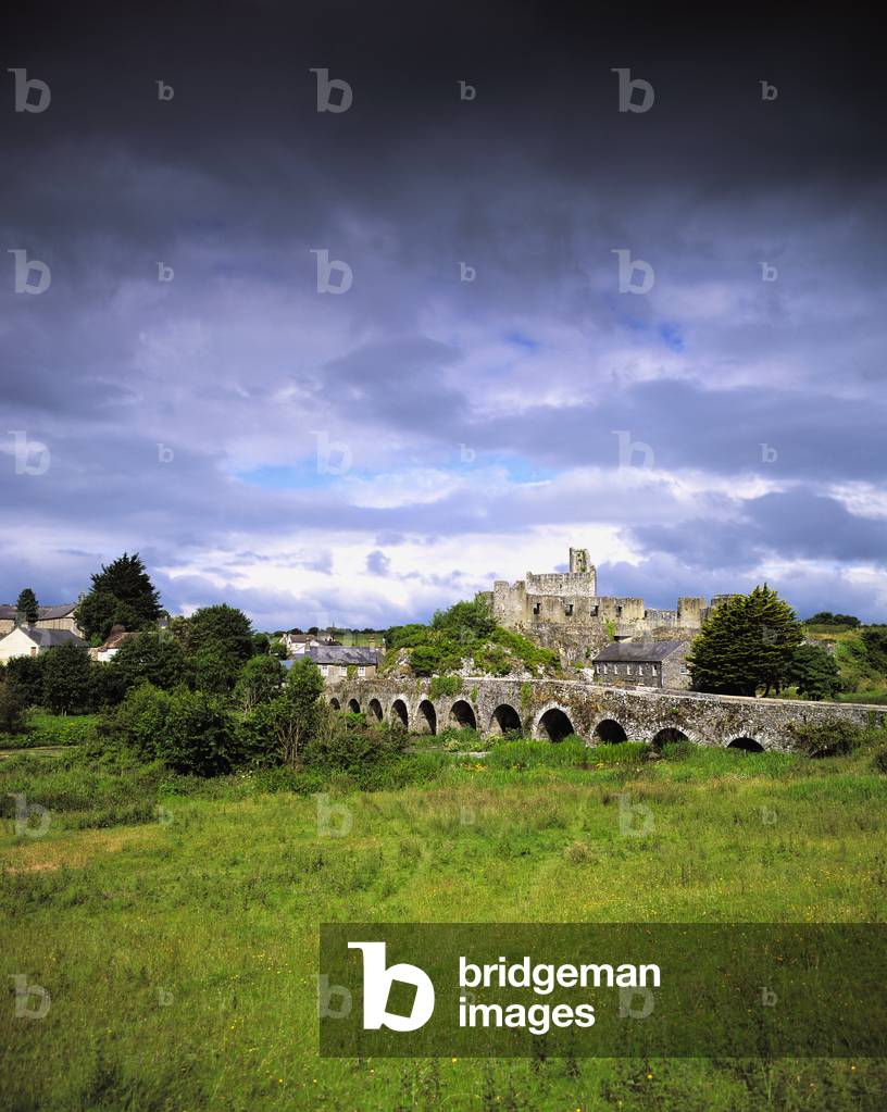Co Cork, Fota House Gardens (photo)