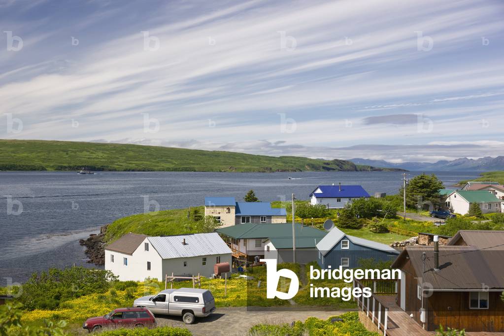 Residential homes along the coast, Sand Point, Southwestern Alaska, USA, Summer (photo)