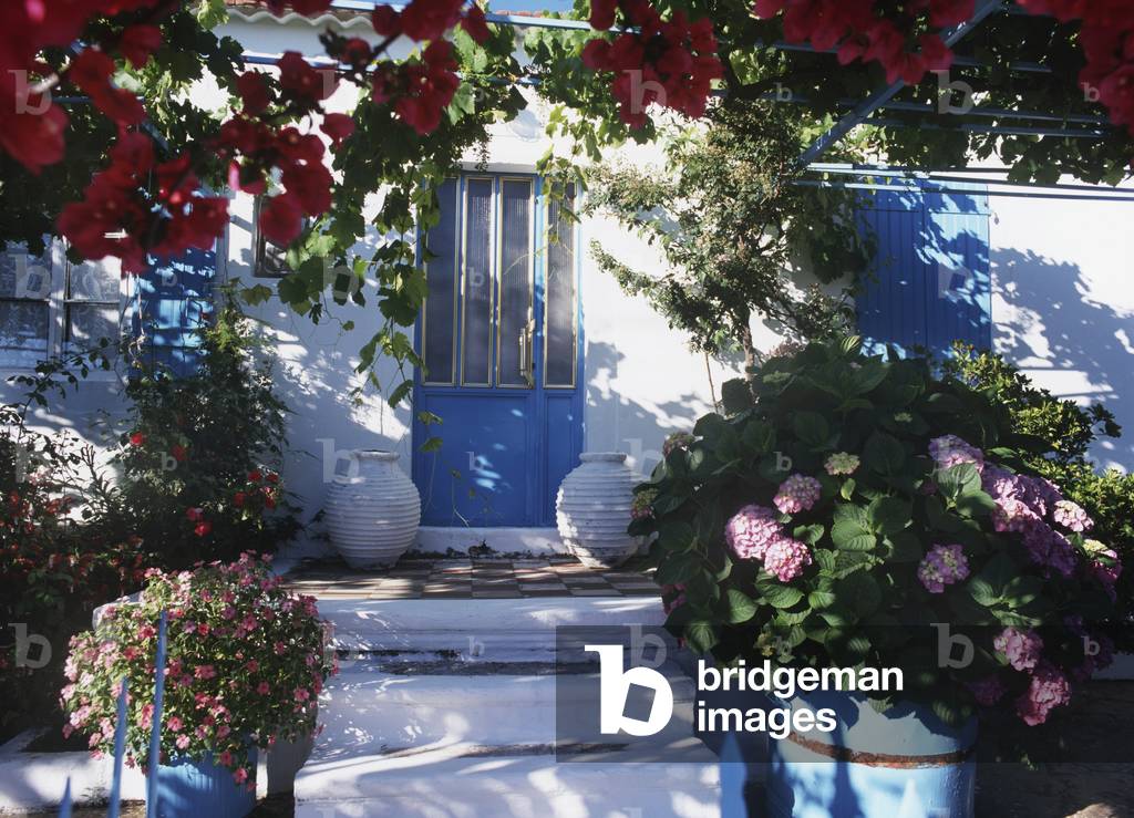 Buildings Front with Flowers (photo)