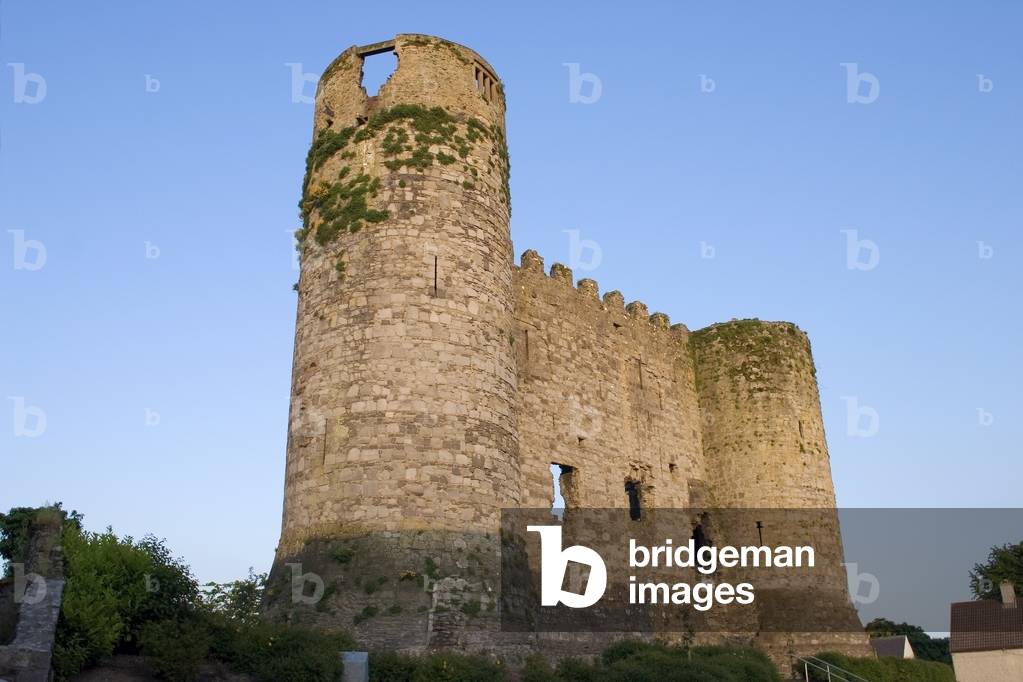 Carlow Castle, Co Carlow, Ireland (photo)