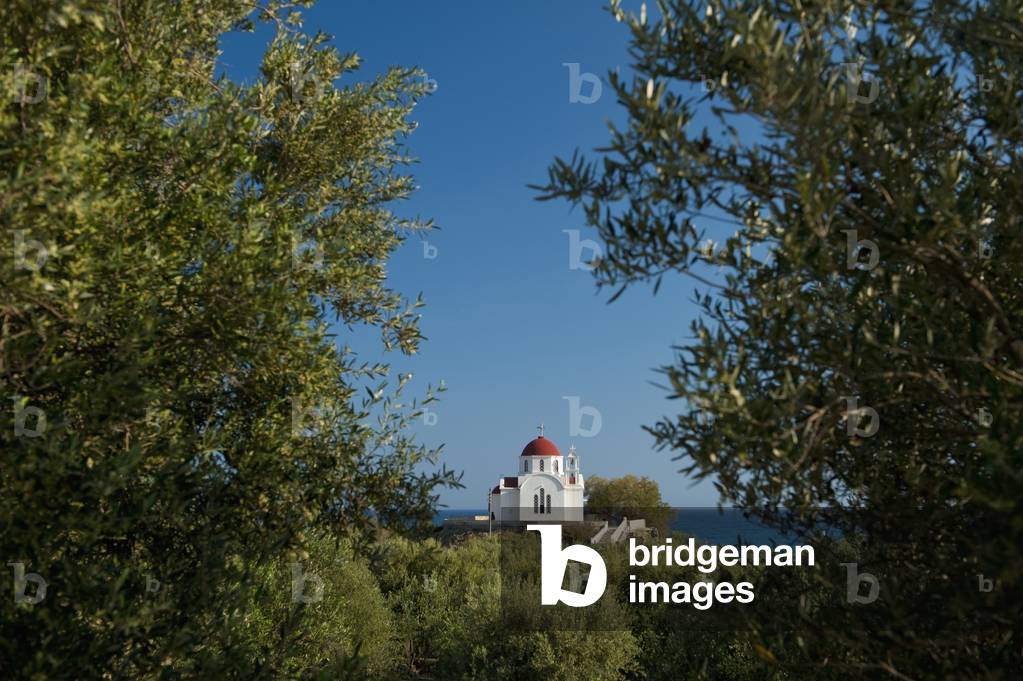 Greece, Crete, Looking through olive grove to small church near, Mirtos (photo)