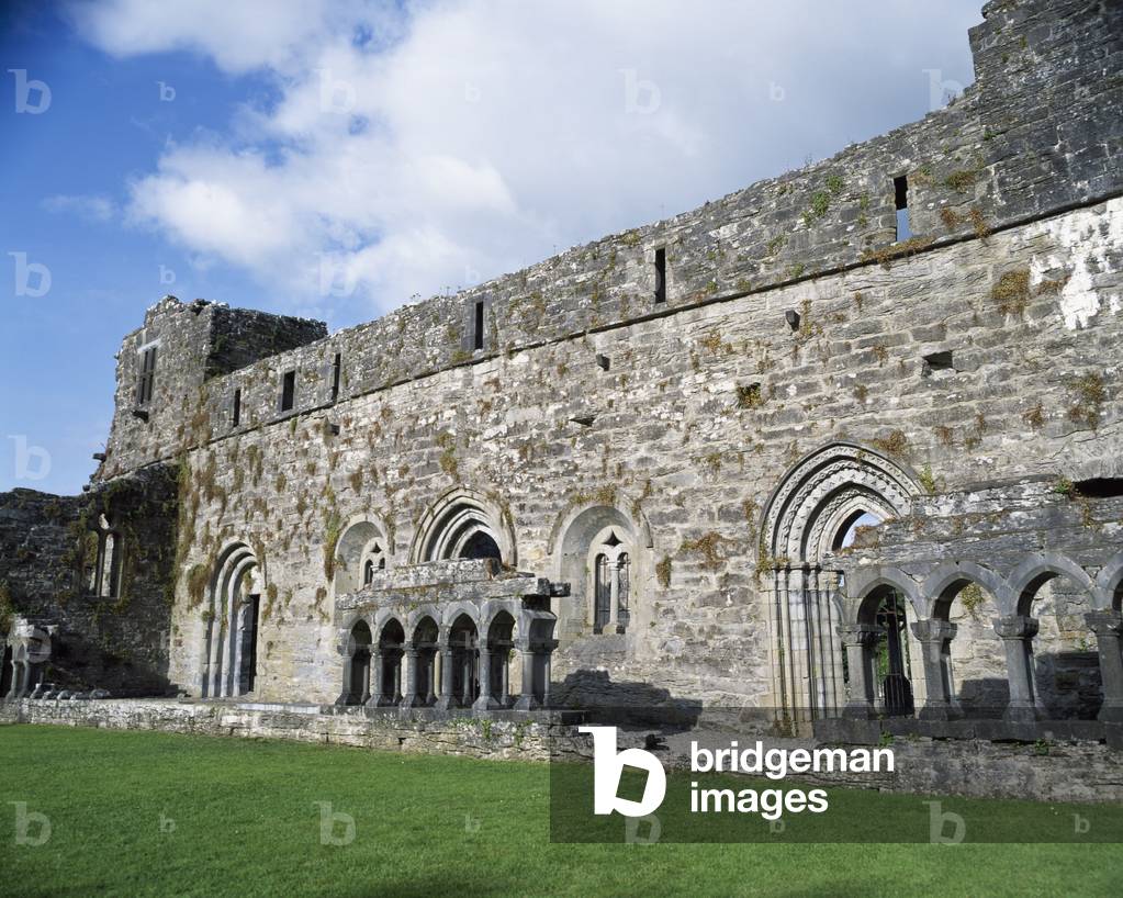 Celtic Archaeology, Long Augustinian Abbey, Kong Co Mayo (photo)