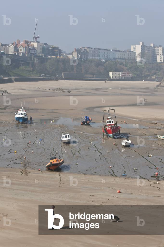 Man with His Dog on North Beach, Tenby, Pembrokeshire Coast Path, Wales, United Kingdom (photo)