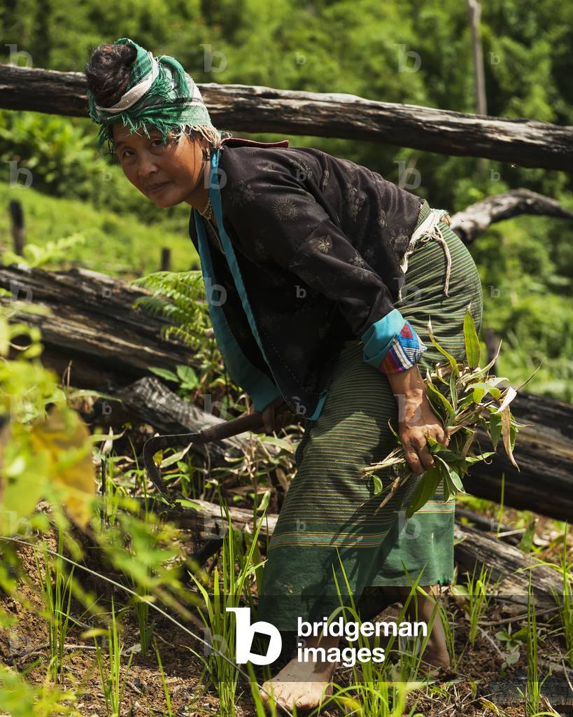 Hmong woman in traditional clothing, Luang Namtha, Laos (photo)