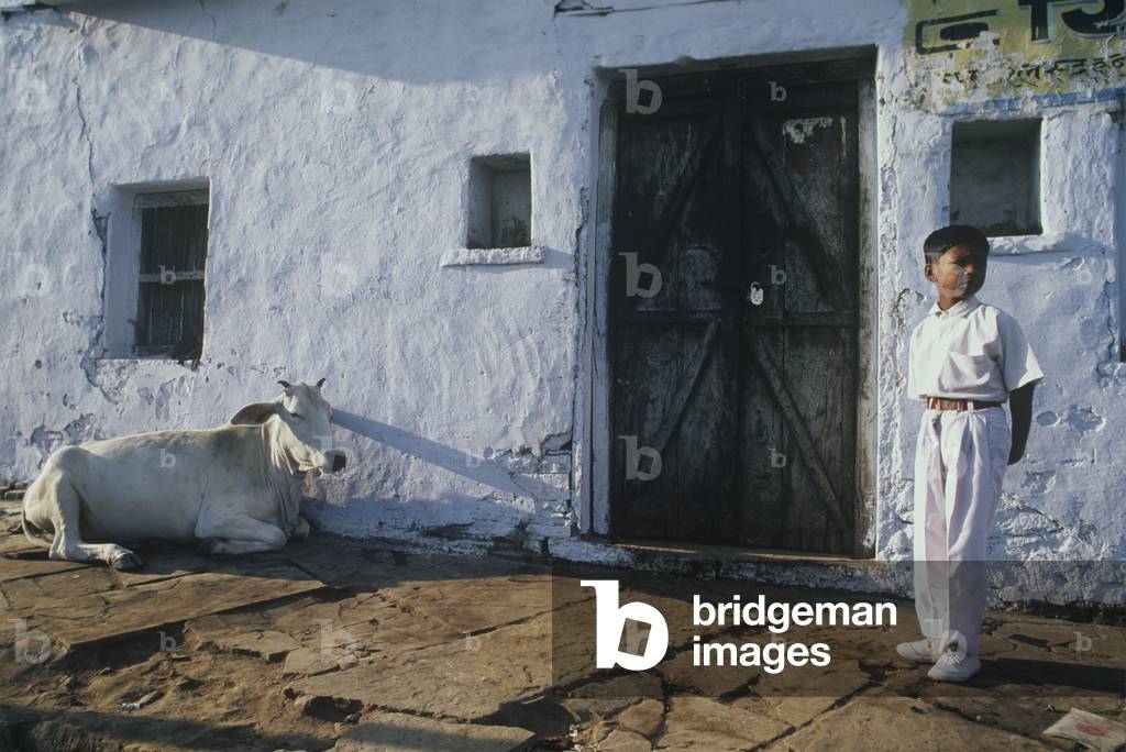 Schoolboy Waits For His School Bus in Jhalawar, Rajasthan, India (photo)